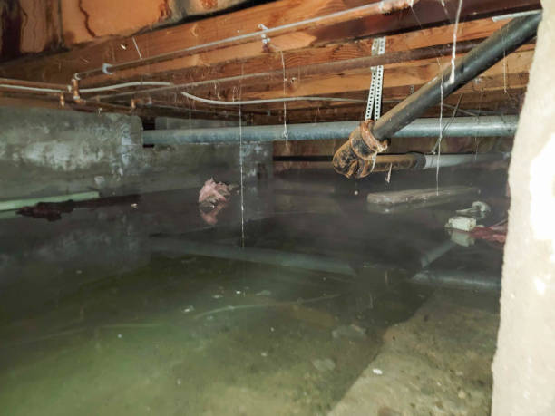 Best Flooded house restoration  in Lakeland North, WA
