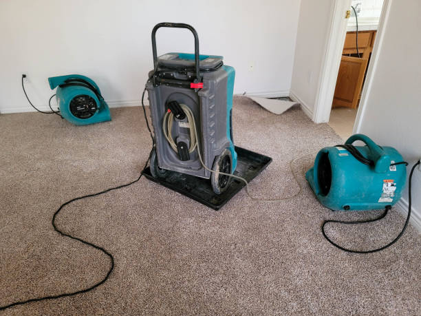 Best Water damage cleanup near me  in Lakeland North, WA
