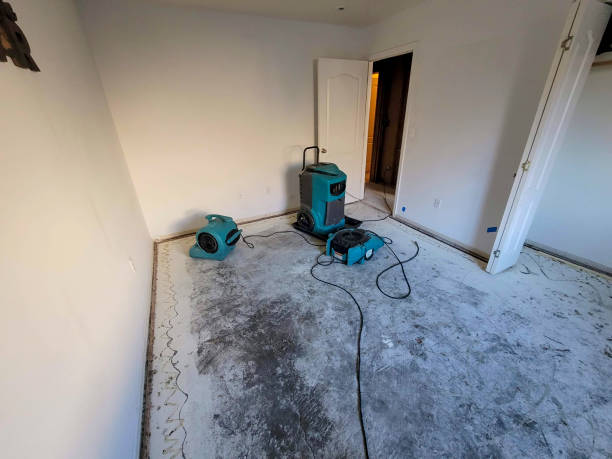 Best Emergency water damage restoration  in Lakeland North, WA