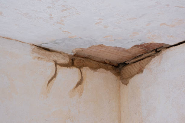 Best Residential water damage restoration  in Lakeland North, WA