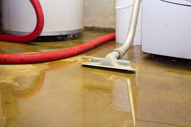  Lakeland North, WA Water damage restoration Pros
