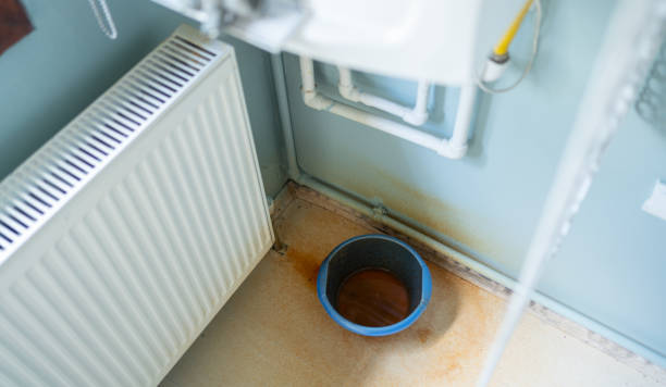 Best Flood restoration services  in Lakeland North, WA