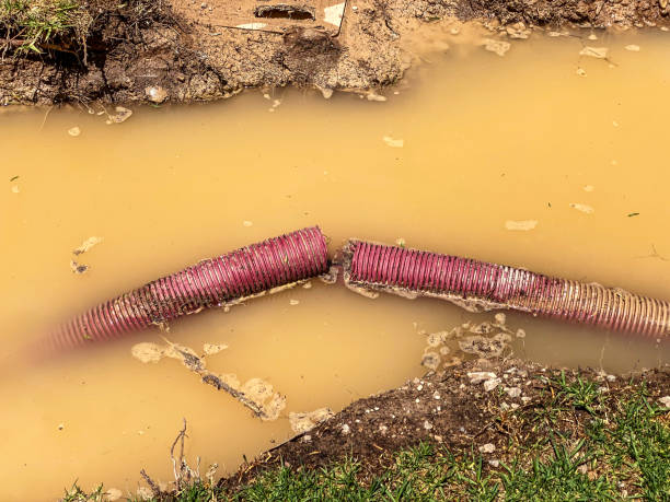 Best Water damage restoration near me  in Lakeland North, WA